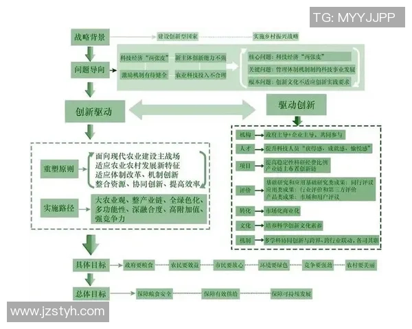 乒乓球运动的魅力与发展历程：从技术创新到全球普及的辉煌之路