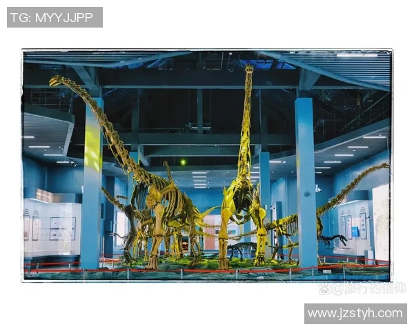 探寻世界各大足球俱乐部崛起之路与时代变迁的多维全景深度解析