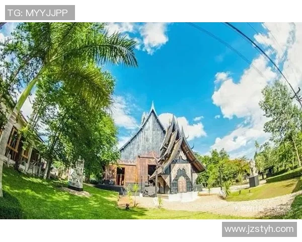 跳水运动的力量与美感探秘从勇敢起跳到完美入水的极致追求